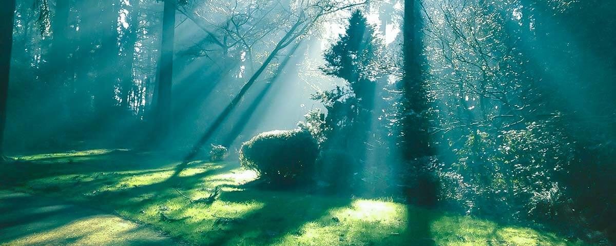home_eco_blog5